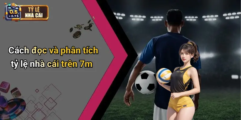 7m 2 Cách đọc và phân tích tỷ lệ nhà cái trên 7m