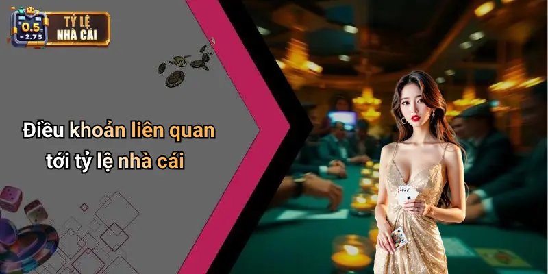 Điều khoản liên quan tới tỷ lệ nhà cái