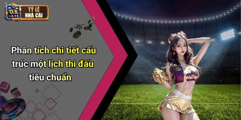Phân tích chi tiết cấu trúc một lịch thi đấu tiêu chuẩn