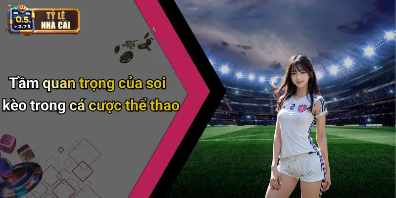 SOI KÈO 1 Tầm quan trọng của soi kèo trong cá cược thể thao