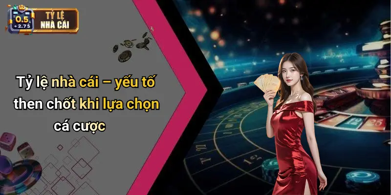 Nhà Cái Uy tín 2 Tỷ lệ nhà cái – yếu tố then chốt khi lựa chọn cá cược