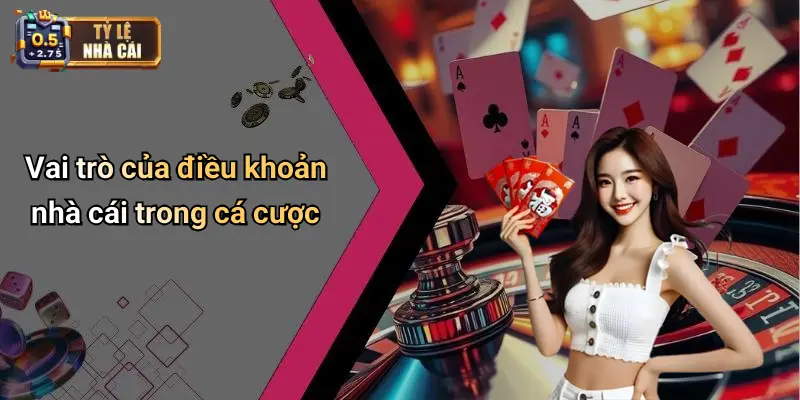 Vai trò của điều khoản nhà cái trong cá cược