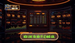 Kèo Live Tài Xỉu: Nghệ Thuật Đọc Vị Trận Đấu Và Chiến Thuật Chốt Lời Đỉnh Cao
